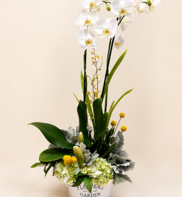 Orquídea Tropical